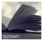Louise Touchette Real Estate Glossary
